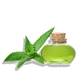 women Product 4